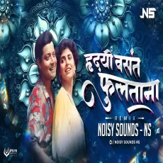 Hridayi Vasant Phulatana - Remix - Noisy Sounds (NS)