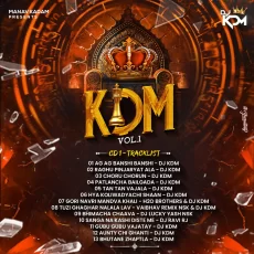 Raghu Pinjryat Aala (2026) - Dj KDM